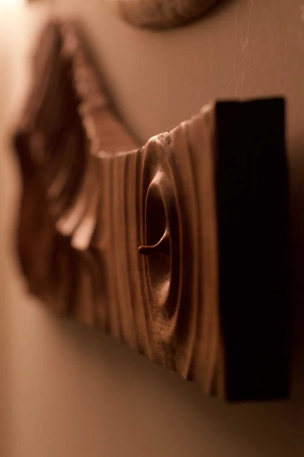 Scultura parete
